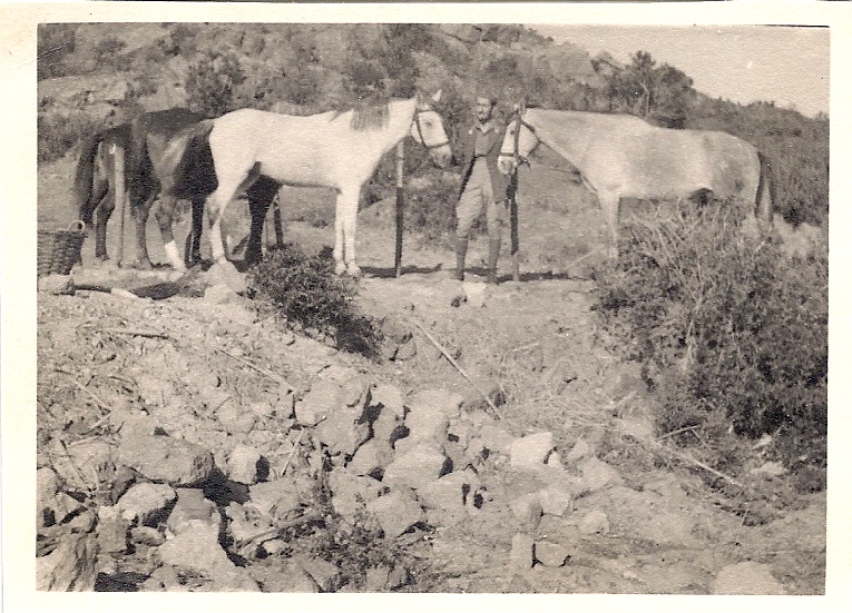 1942 Ottobre - S.M. 